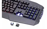 Teclados - X-Lizzard - XZZ-TE-02 - Negro